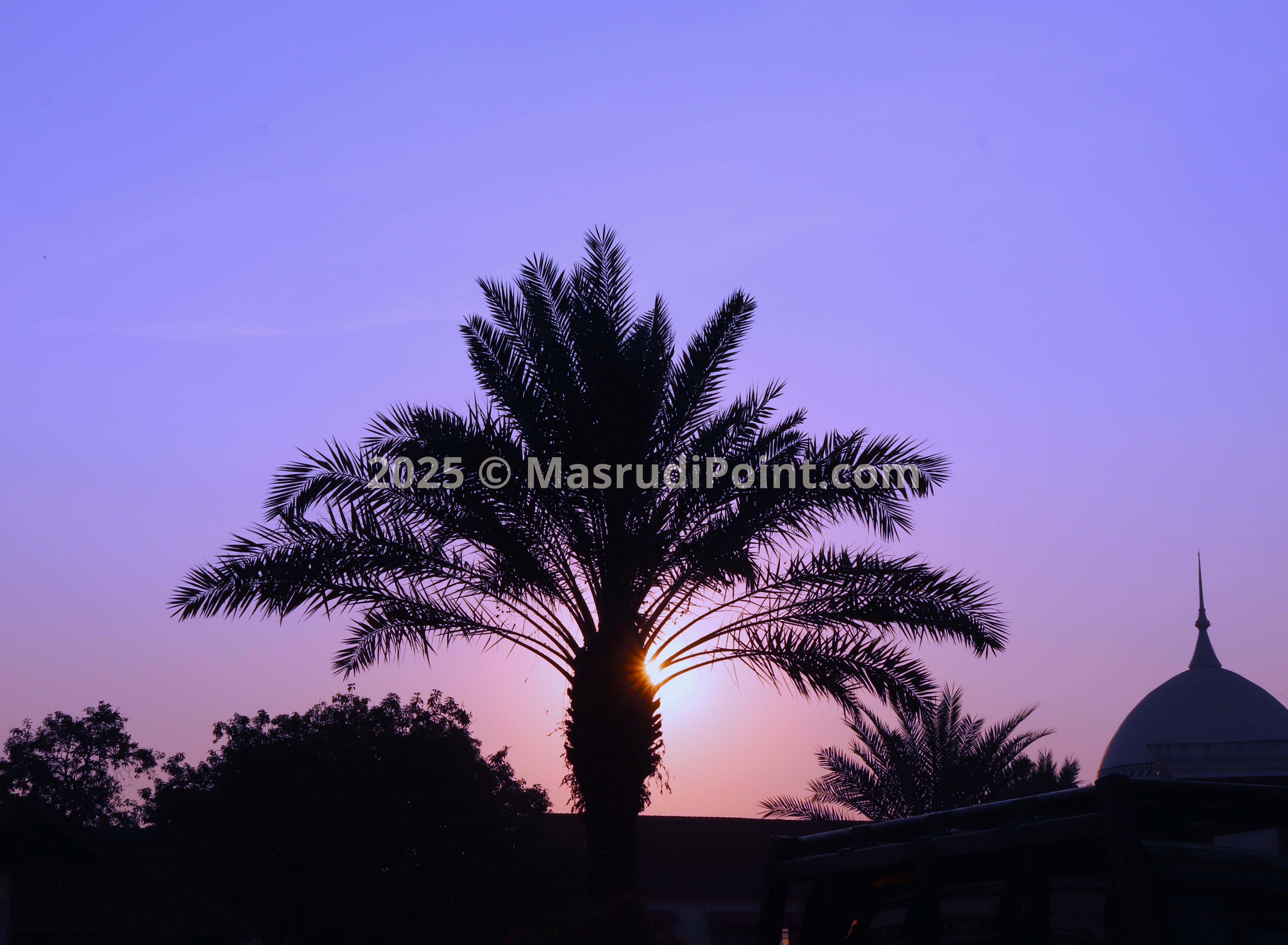 MASJID ISLAMIC CENTER INDRAMAYU 6