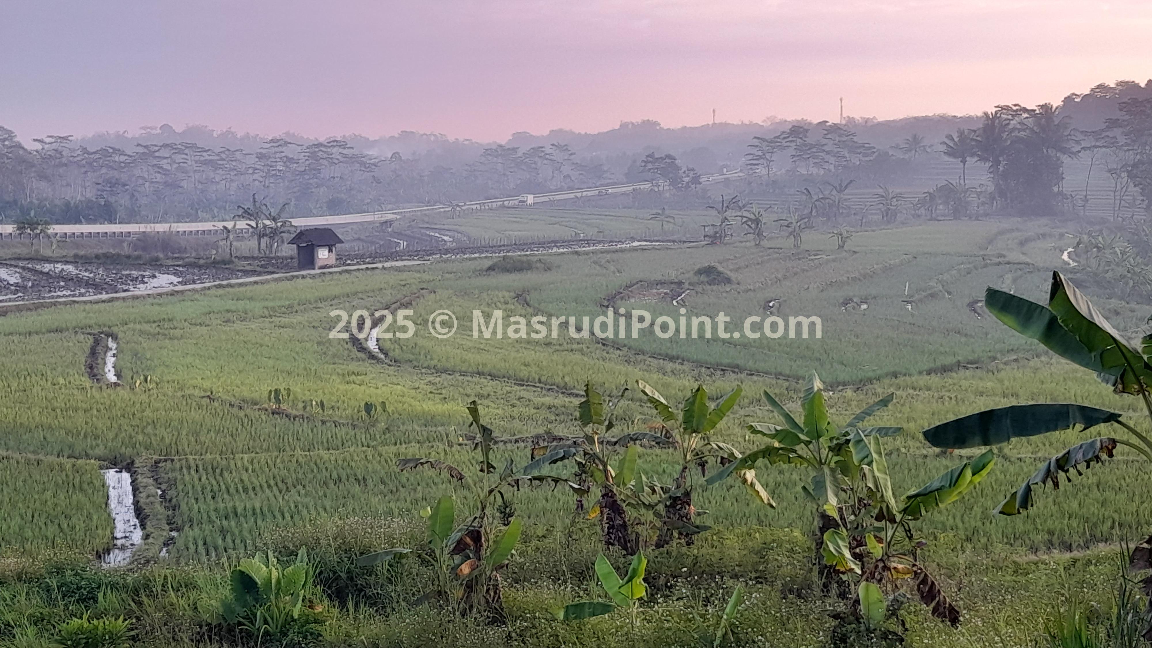 RICE FIELD TERRACING 1